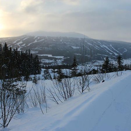Lillebjorn Villa Trysil Exterior photo